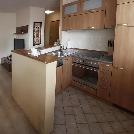 Appartement Goodnight - Elektoralna